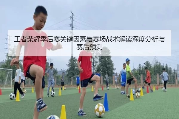 王者荣耀季后赛关键因素与赛场战术解读深度分析与赛后预测